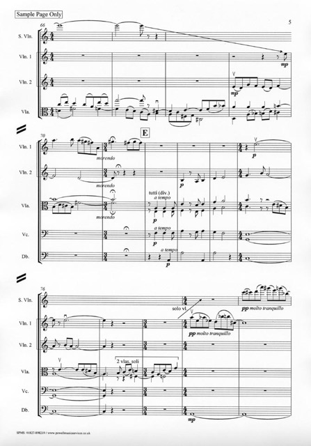 Neil Gardner: Eclogue for String Orchestra Op.18