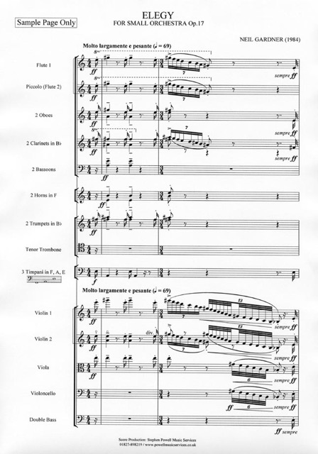 Neil Gardner: Elegy for Small Orchestra Op.17